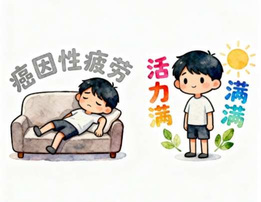 [图片占位：对抗疲劳]