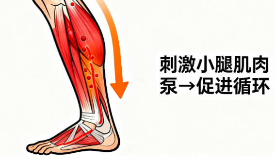 [图片占位：平地慢走]