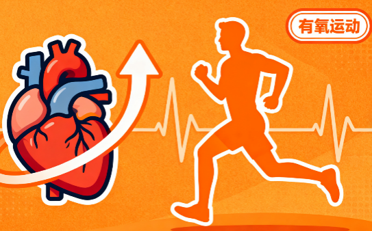 [图片占位：有氧运动]