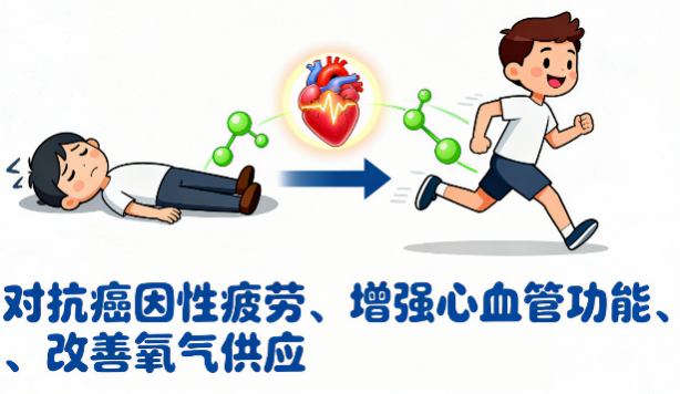 [图片占位：重振体能精力]