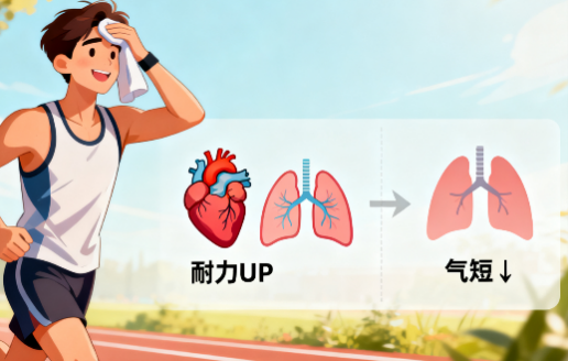 [图片占位：提升心肺功能]