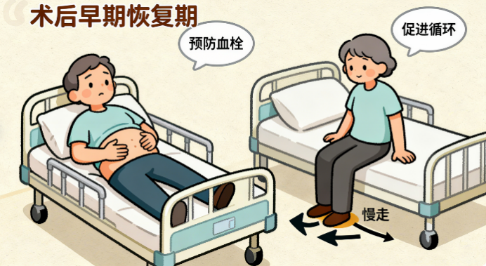 [图片占位：呼吸与温和活动]